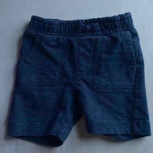 7 For All Mankind Shorts